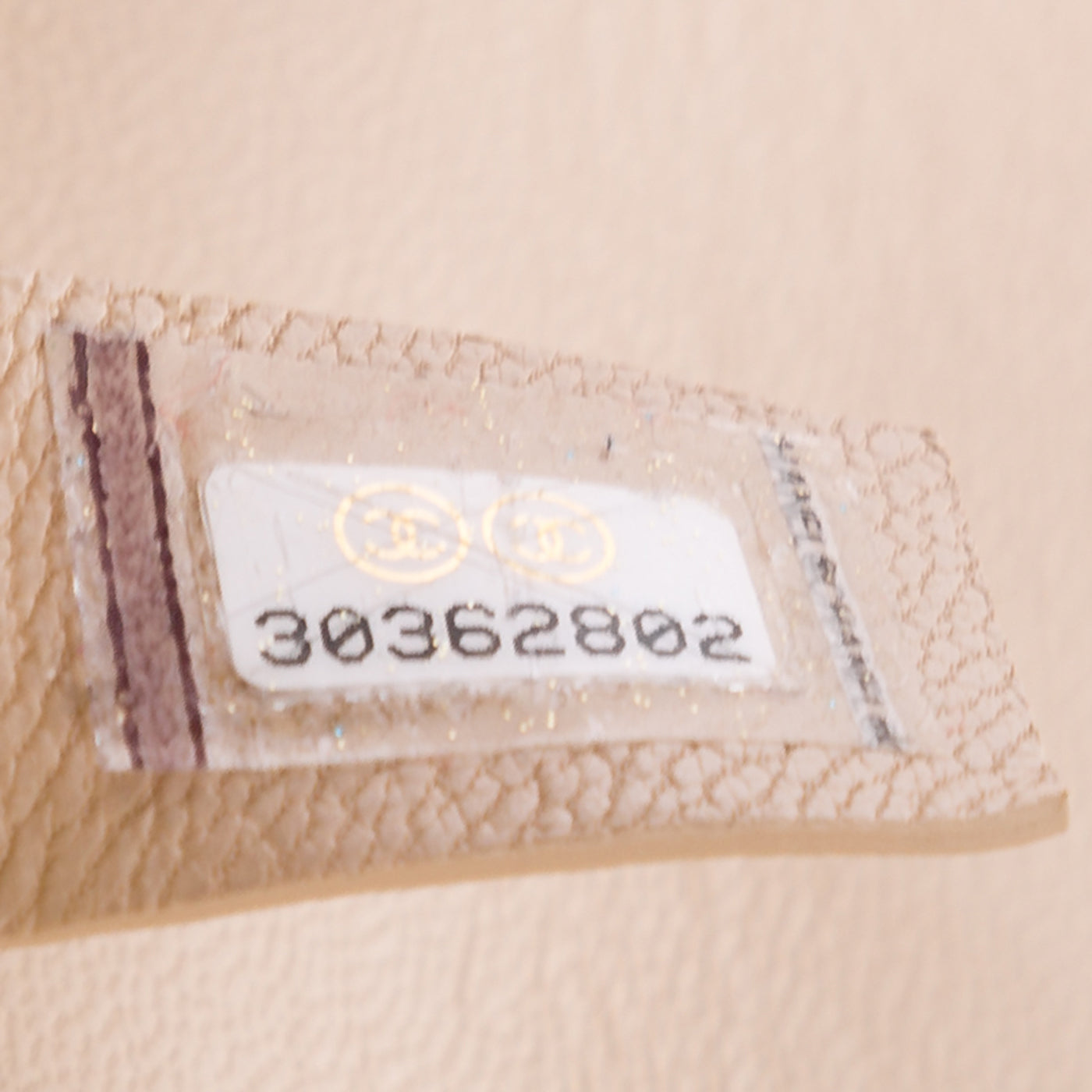 Chanel Chanel 19 Flap Bag - Maxi