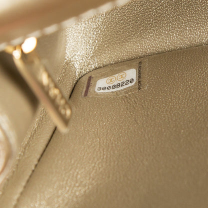 Chanel 2.55 Re-issue - 224