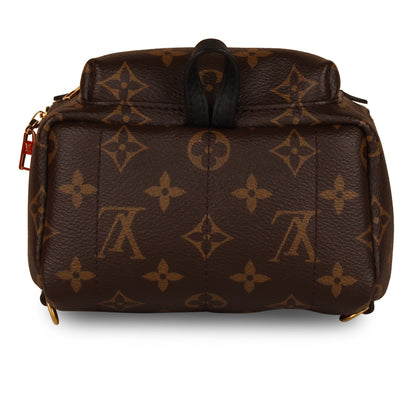 Louis Vuitton Palm Springs Backpack - Mini