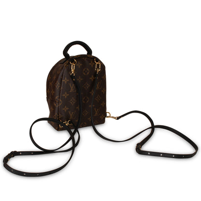 Louis Vuitton Palm Springs Backpack - Mini