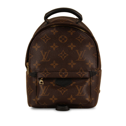 Louis Vuitton Palm Springs Backpack - Mini