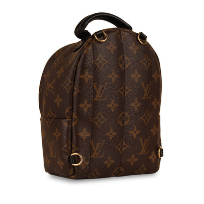 Louis Vuitton Palm Springs Backpack - Mini