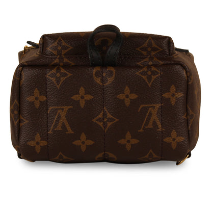 Louis Vuitton Palm Springs Backpack - Mini
