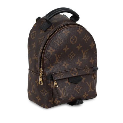 Louis Vuitton Palm Springs Backpack - Mini