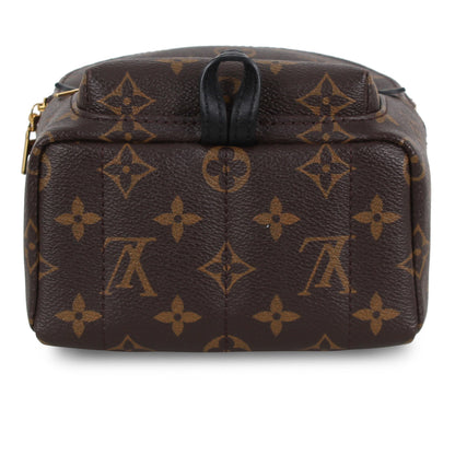 Louis Vuitton Palm Springs Backpack - Mini