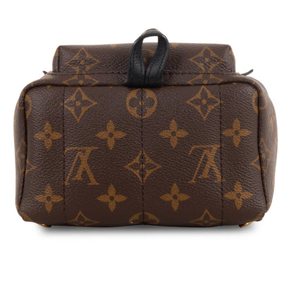 Louis Vuitton Palm Springs Backpack - Mini