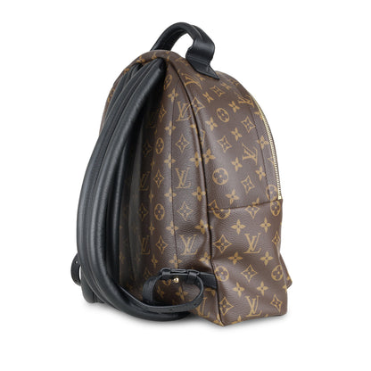 Louis Vuitton Palm Springs Backpack MM