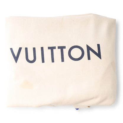 Louis Vuitton Palm Springs Backpack MM