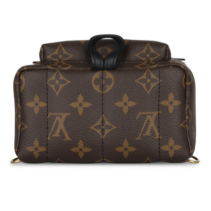 Louis Vuitton Palm Springs Backpack - Mini