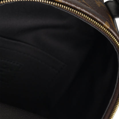 Louis Vuitton Palm Springs Backpack - Mini