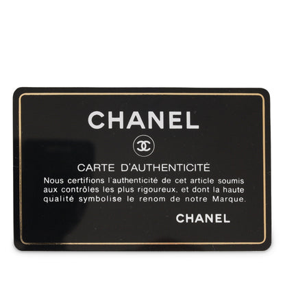 Chanel Box Clutch on Chain