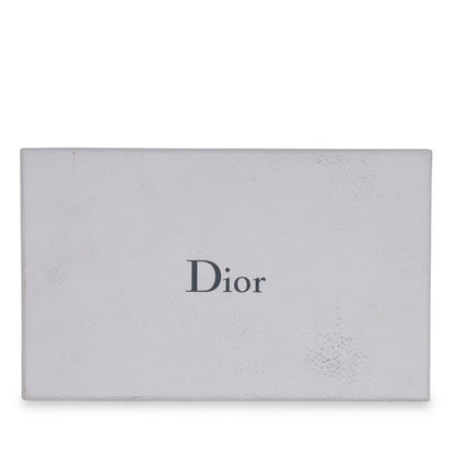 Christian Dior Diorama WOC - Metallic