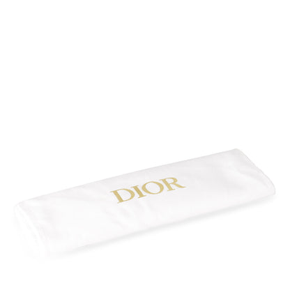 Christian Dior Oblique Saddle WOC