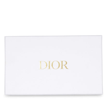Christian Dior Oblique Saddle WOC
