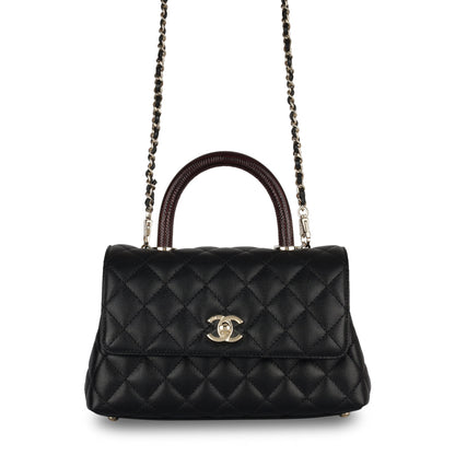 Chanel Small Coco Handle - Lizard Handle