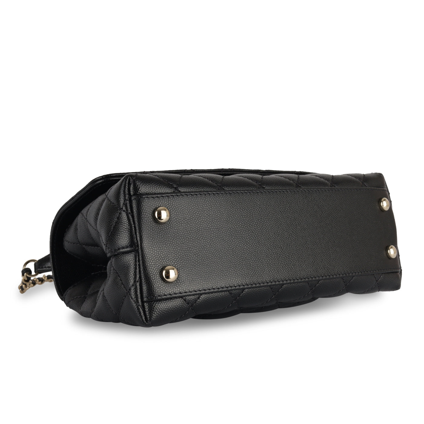 Chanel Small Coco Handle - Lizard Handle