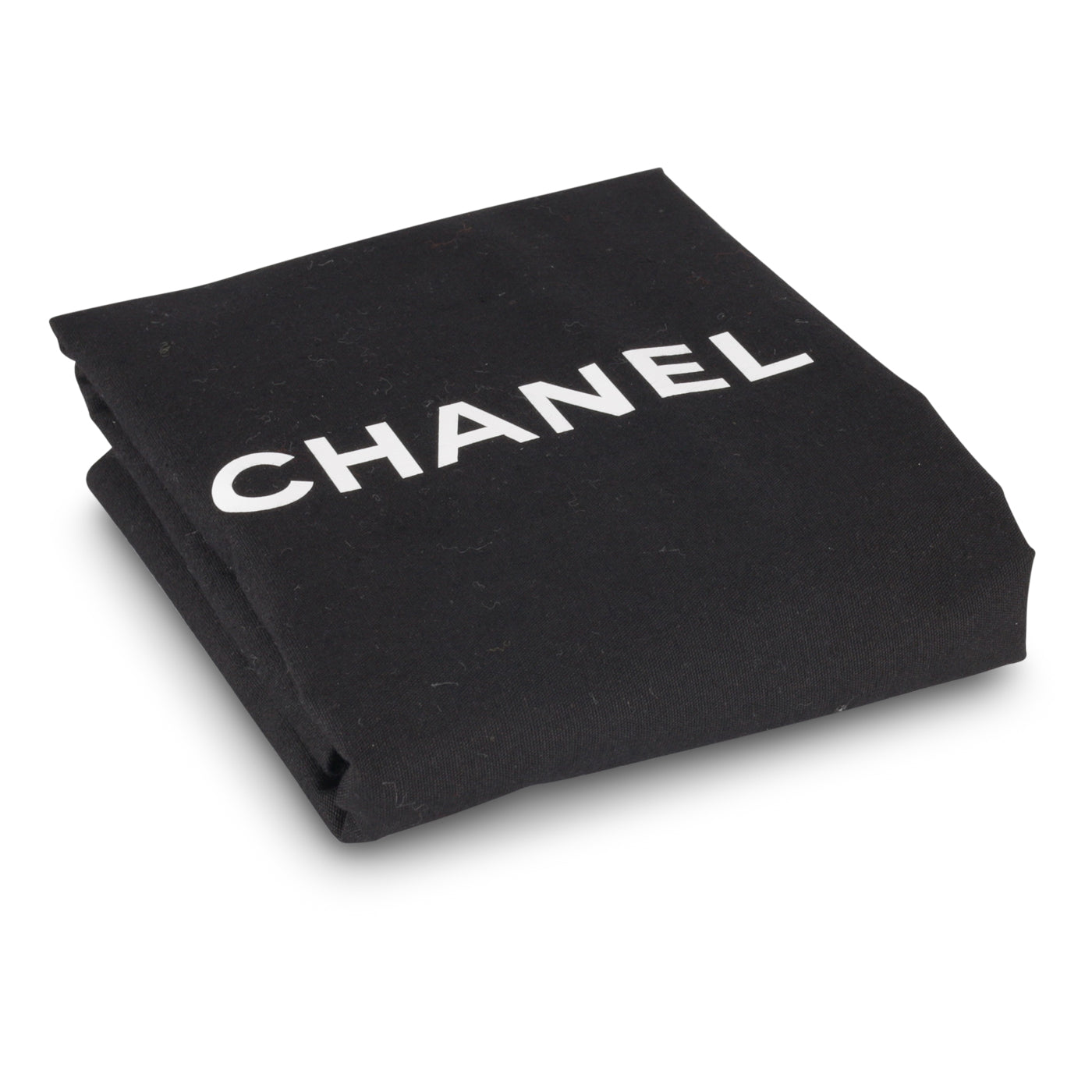 Chanel Small Coco Handle - Lizard Handle