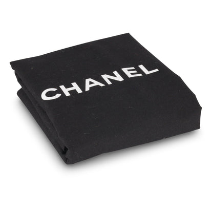 Chanel Small Coco Handle - Lizard Handle