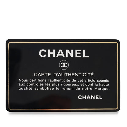 Chanel Vintage Classic Single Flap