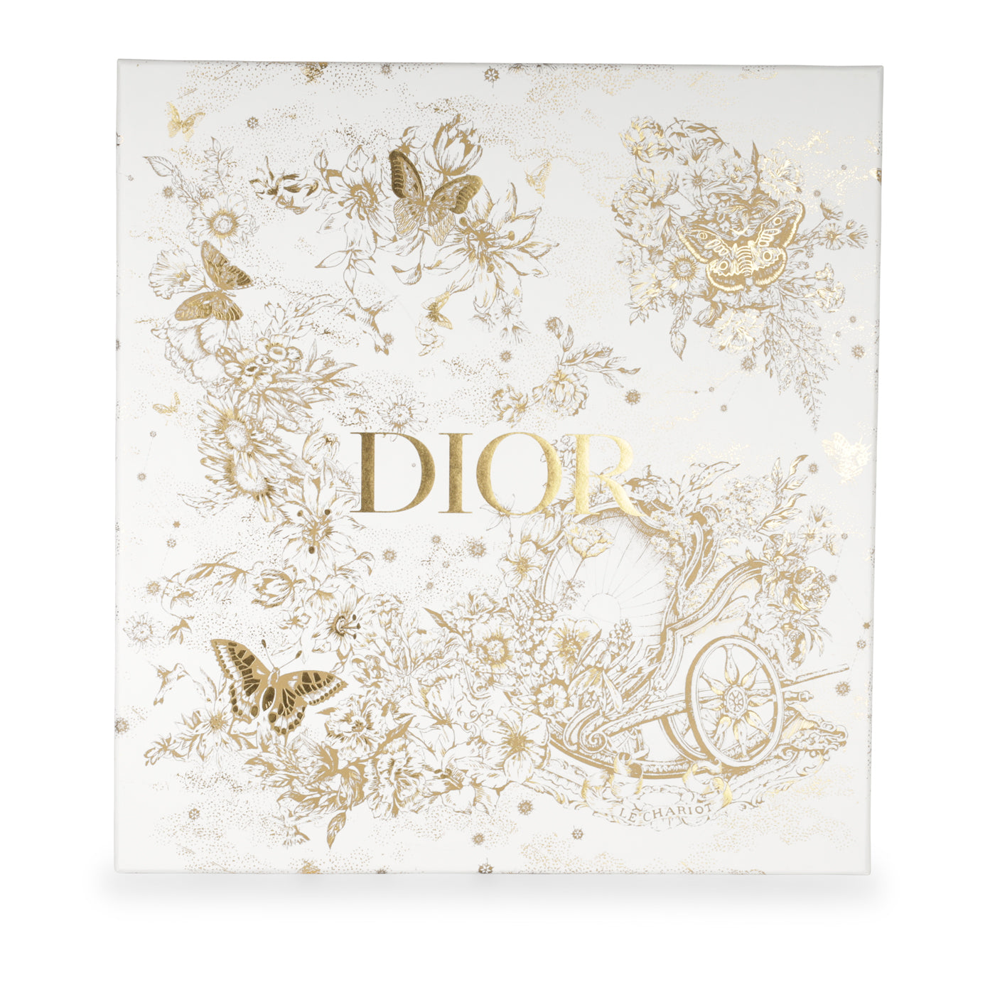 Christian Dior Lady Dior - Large