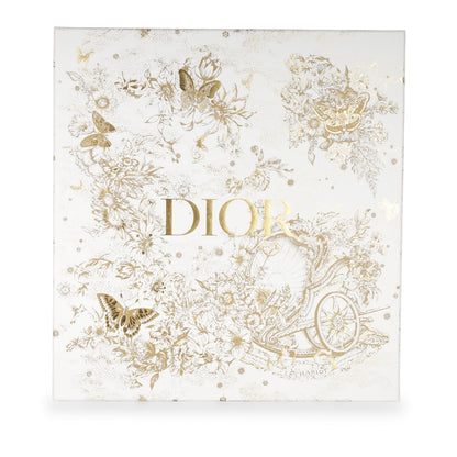 Christian Dior Lady Dior - Large