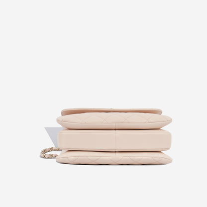 Chanel Trendy CC Flap Bag - Small