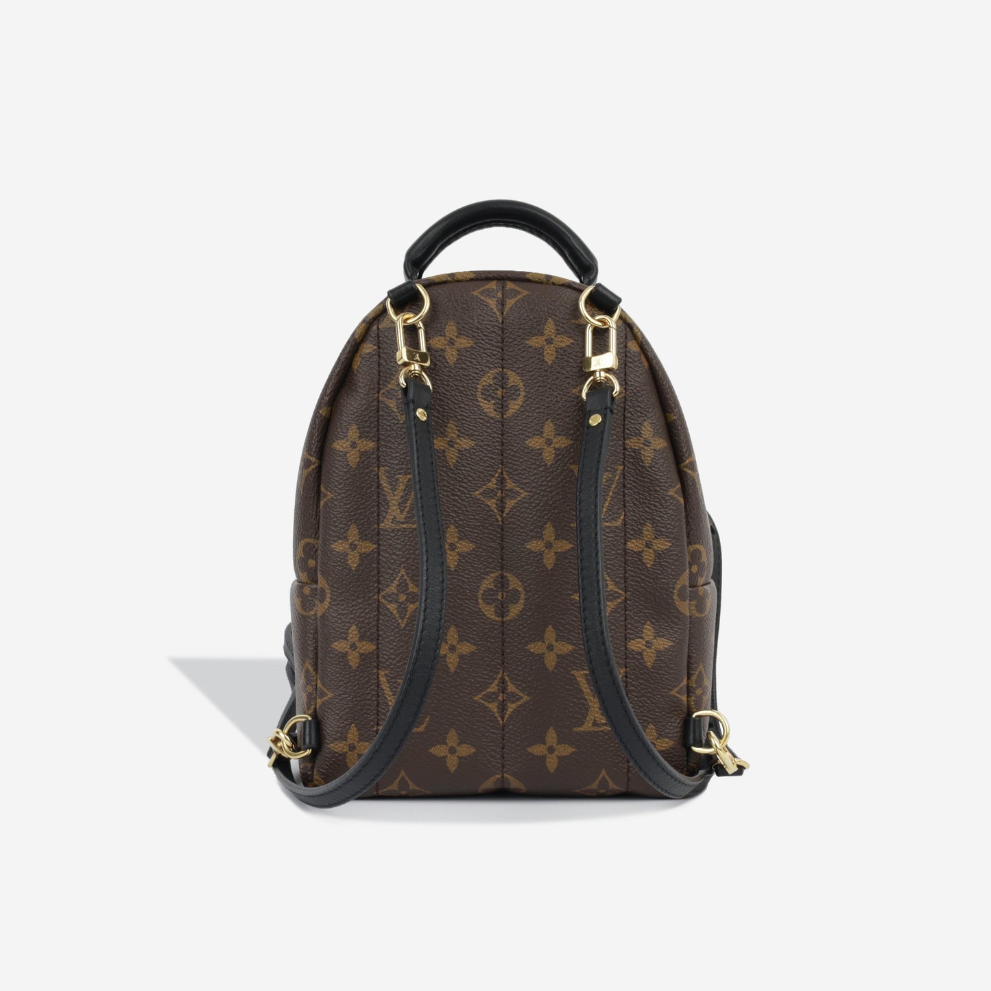 Louis Vuitton Palm Springs Backpack - Mini