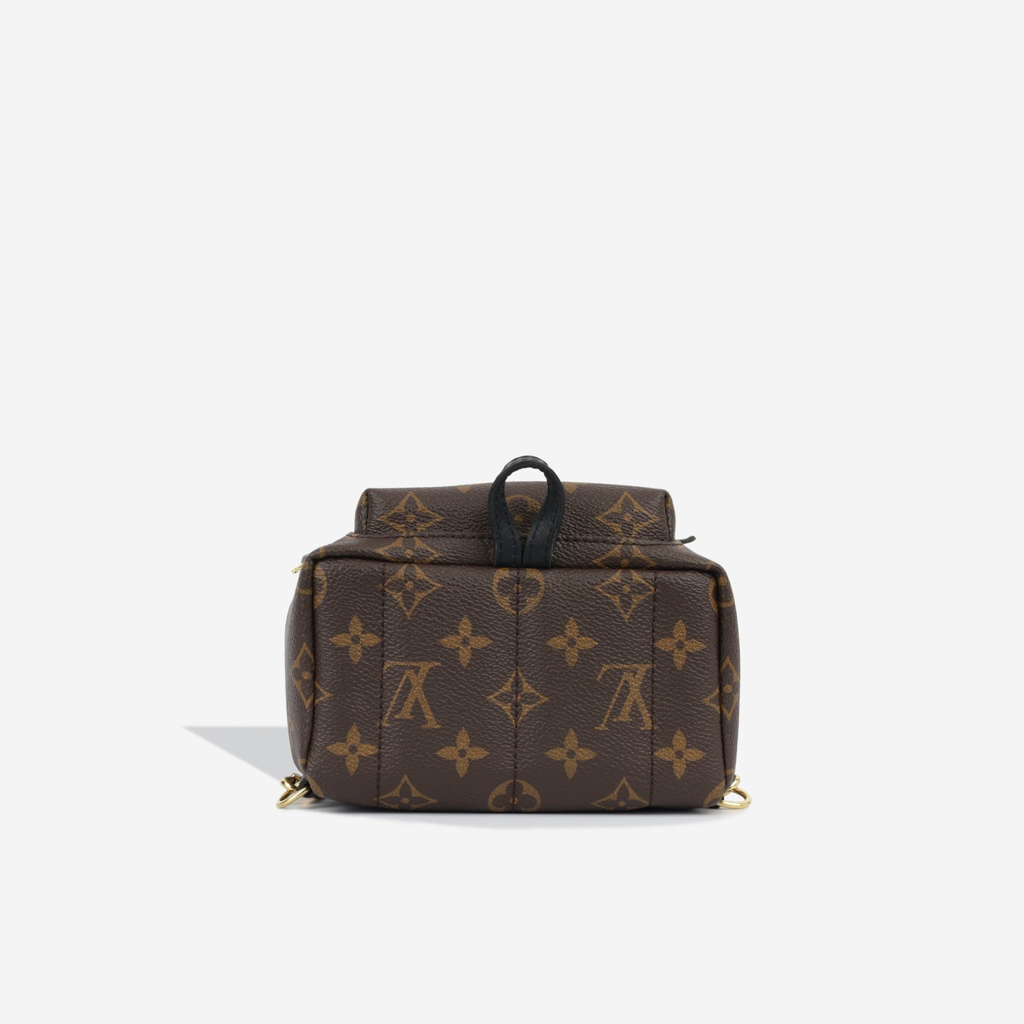 Louis Vuitton Palm Springs Backpack - Mini