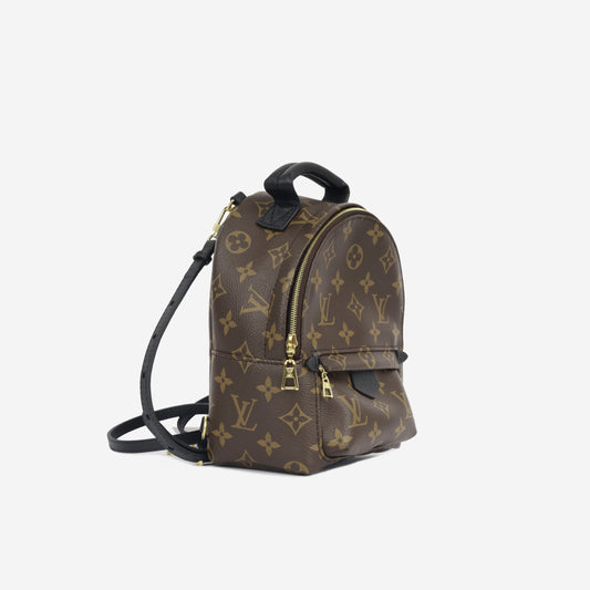 Louis Vuitton Palm Springs Backpack - Mini