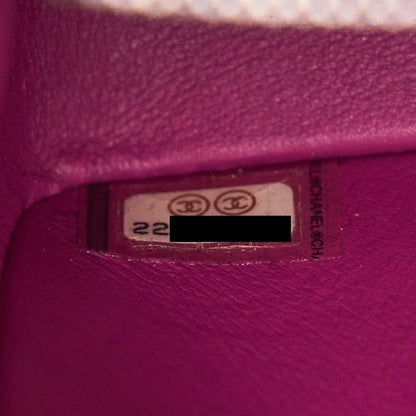 Chanel Alligator Medium Classic Double Flap Bag Pink