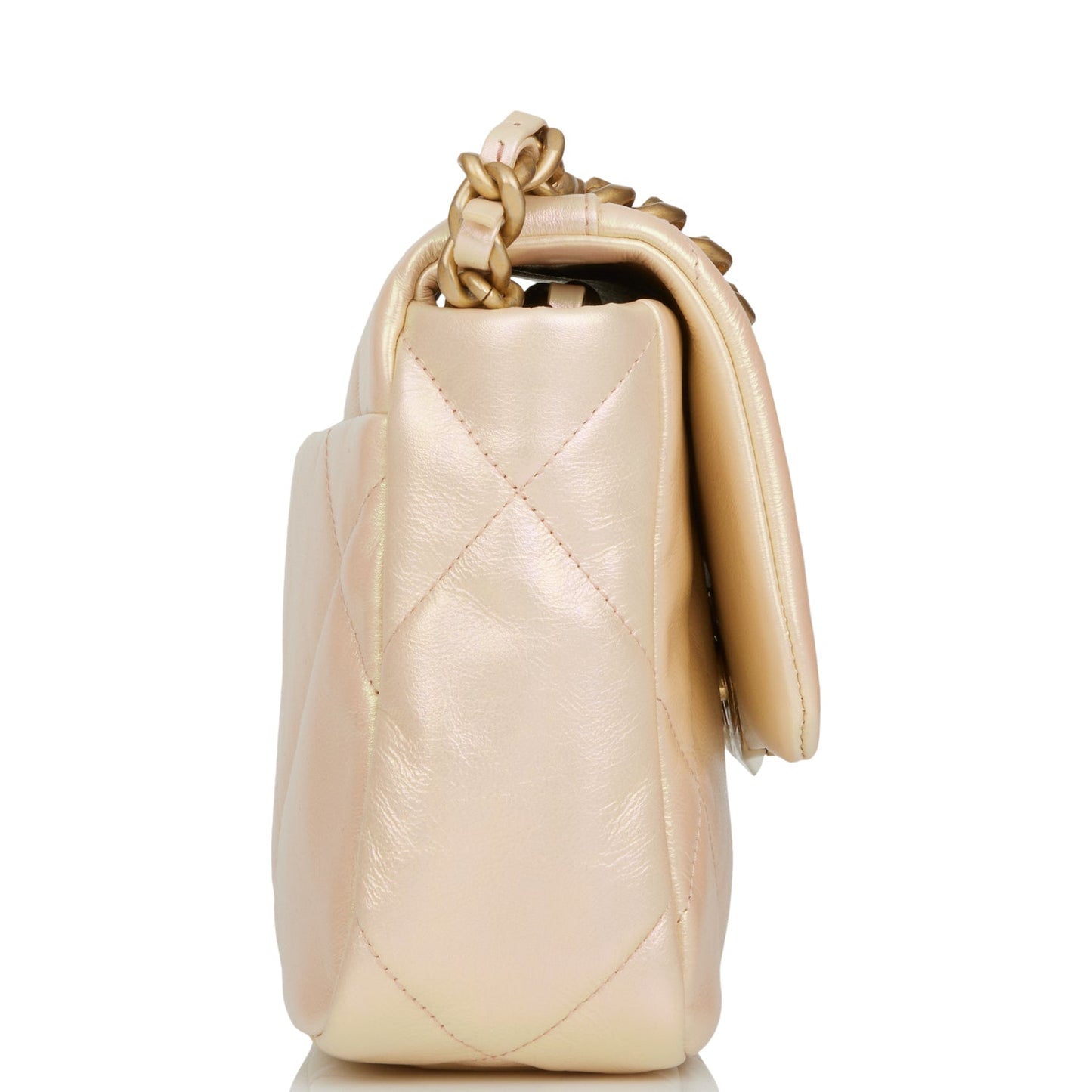 Chanel Medium 19 Flap Bag Rose Iridescent Calfskin Mixed Hardware