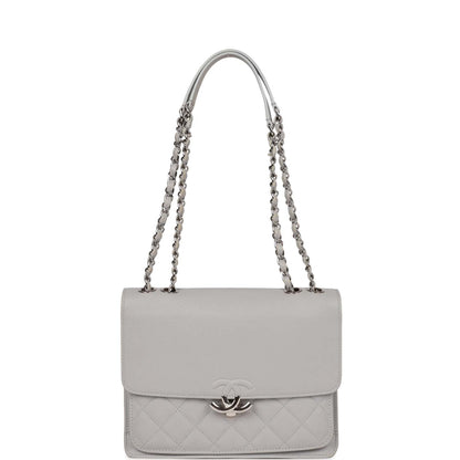Chanel Companion Flap Bag Grey Goatskin Silver Hardware