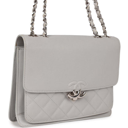 Chanel Companion Flap Bag Grey Goatskin Silver Hardware