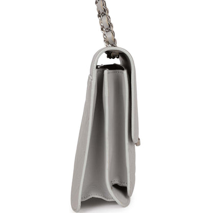Chanel Companion Flap Bag Grey Goatskin Silver Hardware