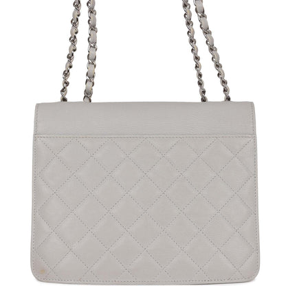 Chanel Companion Flap Bag Grey Goatskin Silver Hardware