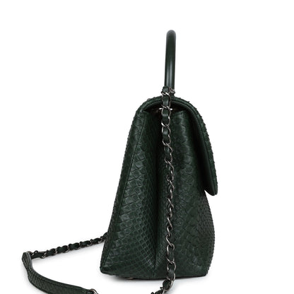 Chanel Medium Coco Handle Flap Bag Dark Green Python Ruthenium Hardware