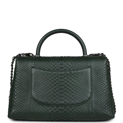 Chanel Medium Coco Handle Flap Bag Dark Green Python Ruthenium Hardware