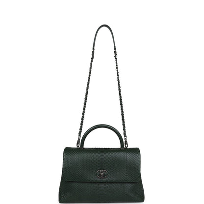Chanel Medium Coco Handle Flap Bag Dark Green Python Ruthenium Hardware