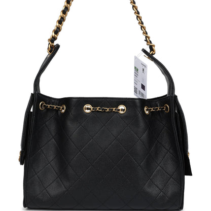 Chanel Small 25 Hobo Bag Black Caviar Antique Gold Hardware
