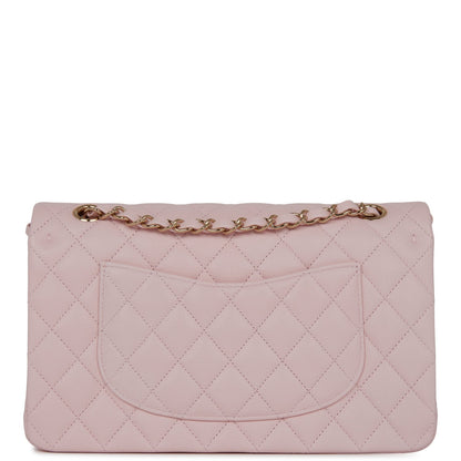 Chanel Medium Classic Double Flap Bag Light Pink Caviar Light Gold Hardware