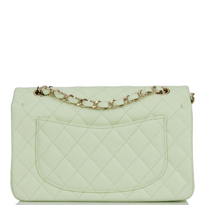 Chanel Small Classic Double Flap Light Green Caviar Light Gold Hardware