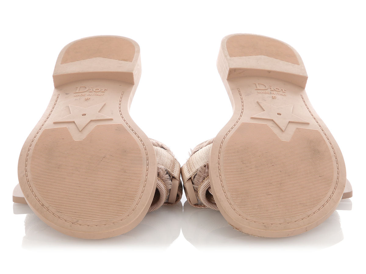 Dior Beige Dio(r)evolution Slides