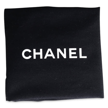 Chanel 19 Hobo Bag