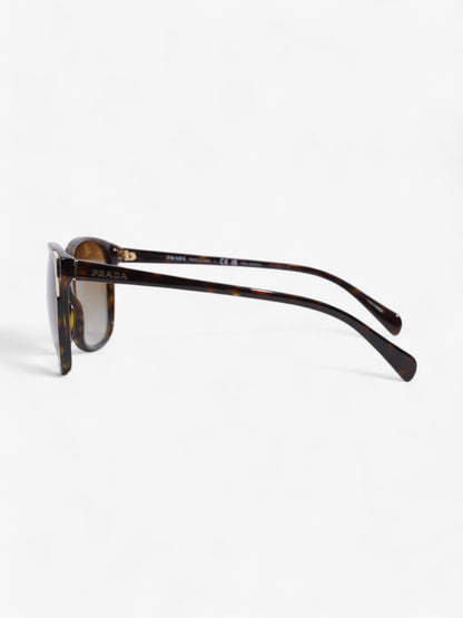 Prada Square Framed Sunglasses Tortoise  / Light Gold Acetate 140mm