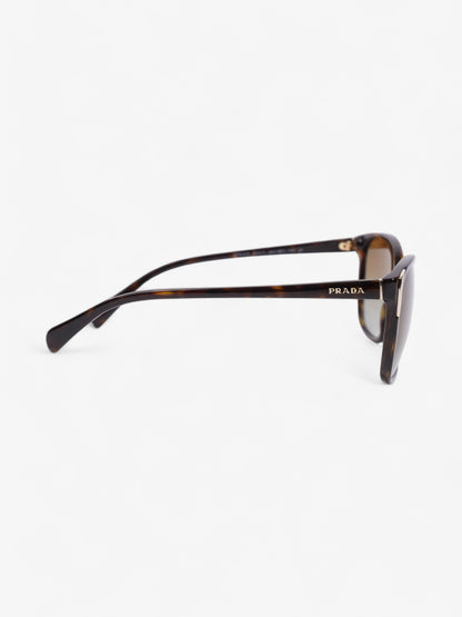 Prada Square Framed Sunglasses Tortoise  / Light Gold Acetate 140mm