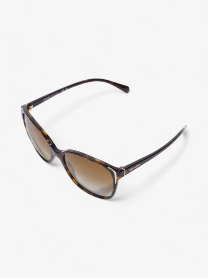 Prada Square Framed Sunglasses Tortoise  / Light Gold Acetate 140mm