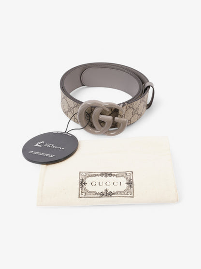 Gucci Marmont Belt Supreme Coated Canvas 90cm 36"
