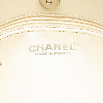 Chanel CC Quilted Irisdescent Lambskin Chain Handbag