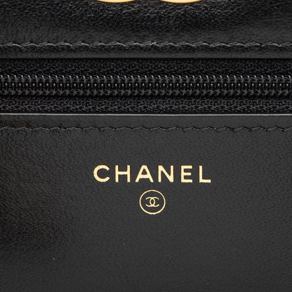 Chanel Lambskin 19 Wallet on Chain