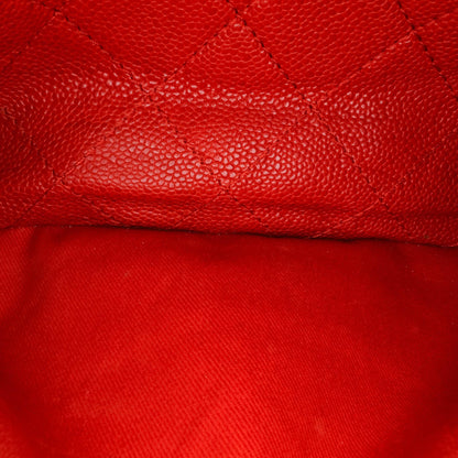 Chanel Medium Grained Calfskin Natural Beauty Flap